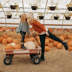 Mini Spooky Jetsetters -Clothing Promotional Store SPOOKY JETSETTERS 6 090143c7 0ba1 4290 b4d1 1836289781b4